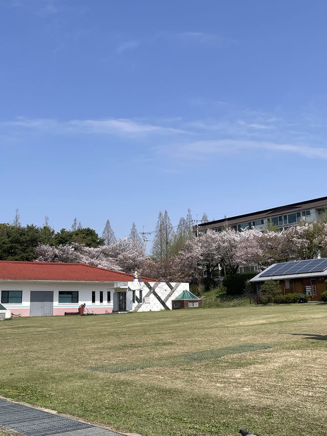 화창한 봄☀️ 산책하기 좋은 창원 ‘용지호수공원’