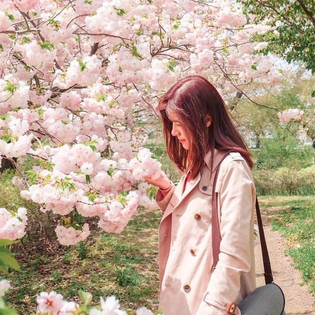 ชมซากุระและวิวสุดปังที่ Asahi Funakawa🌸