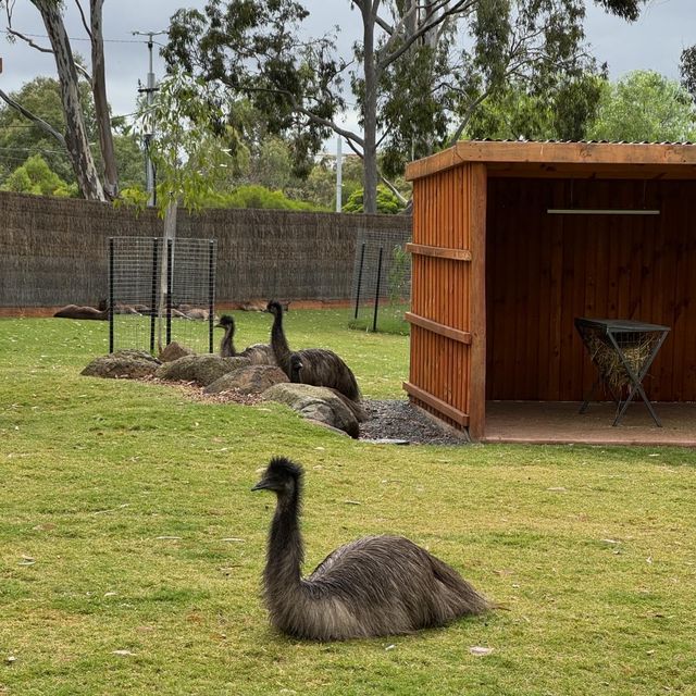 歷史最悠久的動物園！