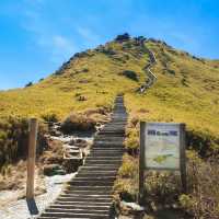 佘山國家森林公園：青翠山水畫捲