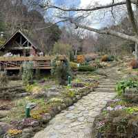 英彥山花園：山巒櫻景，山野莊園之旖旎風光