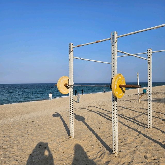 가족 국내여행 강릉 코스 !