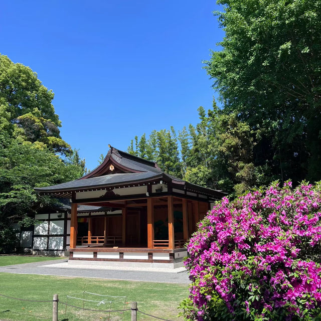 源覺寺：日式庭園美學與禪宗哲思的京都名寺，感受日本傳統藝術之美與精神內涵