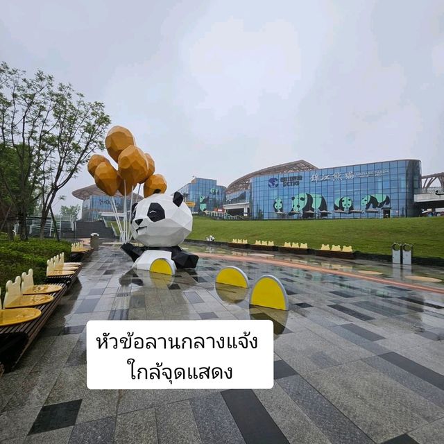 ฐานวิจัยหมีแพนด้ายักษ์ เฉิงตู {成都大熊貓繁育研} ฐานวิจัยหมีแพนด้ายักษ์ เฉิงตู {成都大熊貓繁育研}