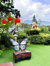 Buzzing with Fun: Exploring the Bee Farm and Insect World