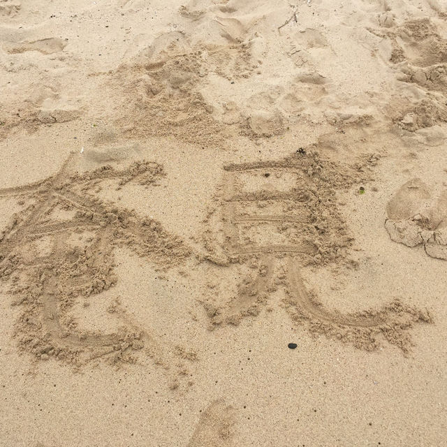 奄美大島のビーチ🏖️