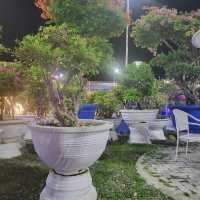 the Meraki Garden