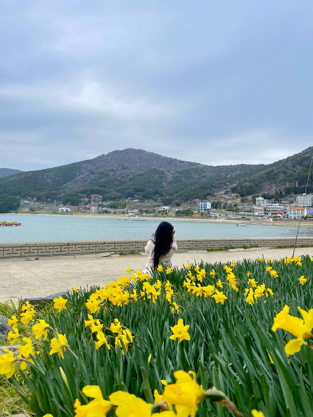 💐거제 공곶이 가신다구요? 이렇게 가지마세요🙅🏻‍♀️
