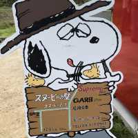 【📍淡路島】✨無料🆓かわいすぎるスヌーピーの壁🎨🐶