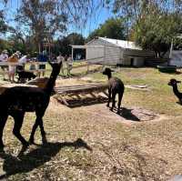 Meelup Farmhouse Perth