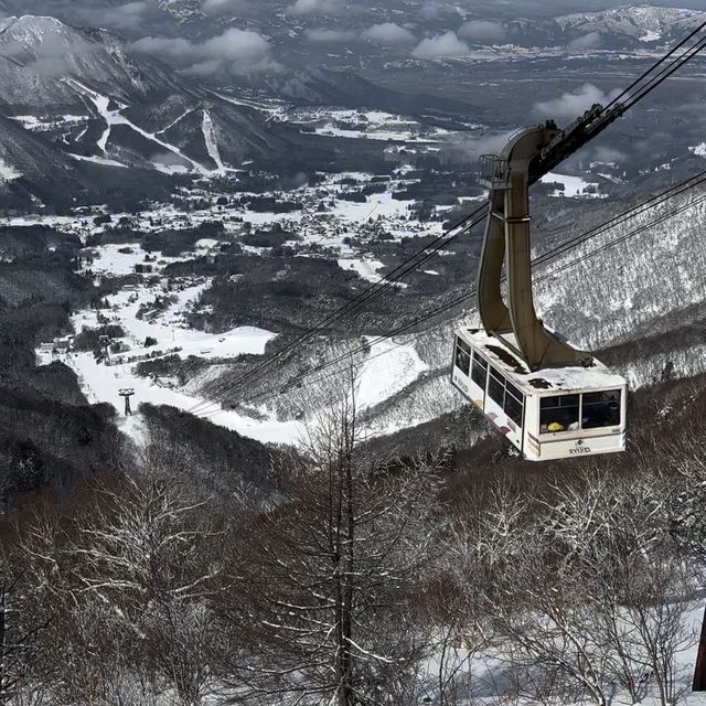 【長野】雲海が見れる絶景スポット！