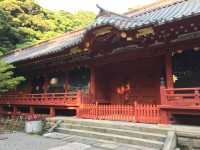 鶴岡八幡宮的莊嚴與美麗：探索鎌倉的靈魂