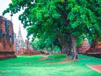 อุทยานประวัติศาสตร์พระนครศรีอยุธยา