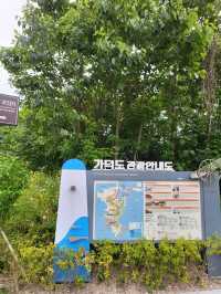 수국은 아직 더 기다려야한 가덕도 야생화단지🌸