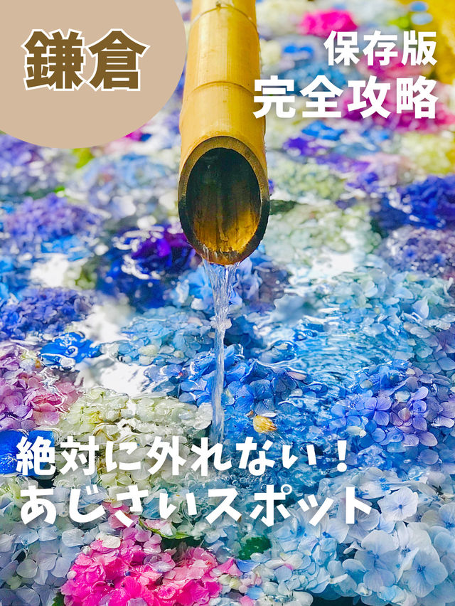 【永久保存版】おすすめあじさいスポット5選