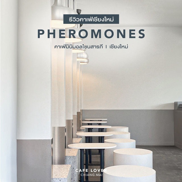 AF PHEROMONES CAFE CNX | คาเฟ่สุดมินิมอล