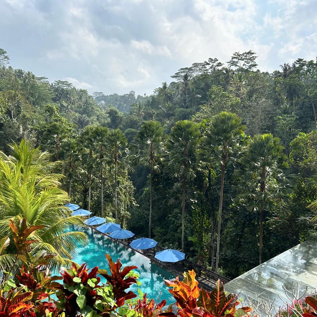 Ubud 大自然に溶け込んだ楽園ホテル🌳