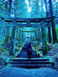 【南阿蘇】異世界に迷い込んだかのような神秘の世界へ！上色見熊野座神社