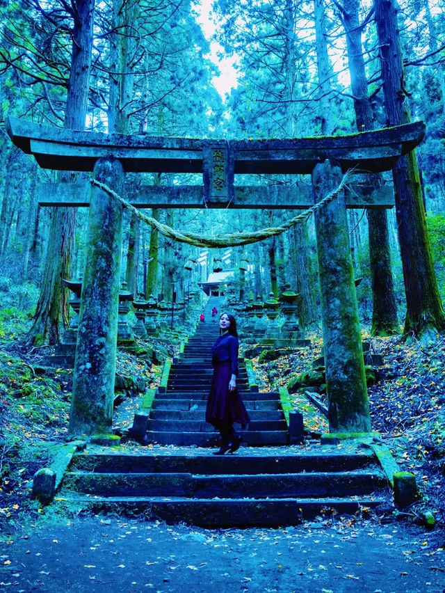 【南阿蘇】異世界に迷い込んだかのような神秘の世界へ！上色見熊野座神社