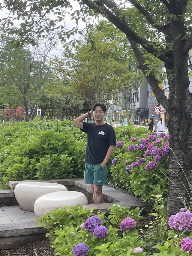수원에서 여름을 만끽할땐 수국 만개하는 신동수변공원