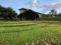 รีสอตวิวร้อยล้านริมทะเลปราณบุรี