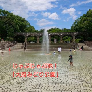 Splashing in the pond! "Obu Midori Park"