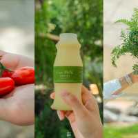 Sweet&garden Khao Yai