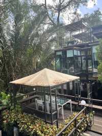 Bangkok Tree House บางกระเจ้า