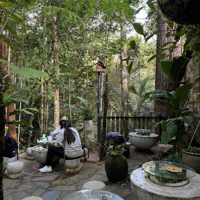 Kopi Hutan คาเฟ่ในป่าที่สูงที่สุดในปีนัง