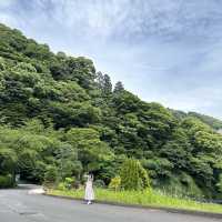 玫瑰花園超療癒！ 日本熱海人氣景點「ACAO FOREST