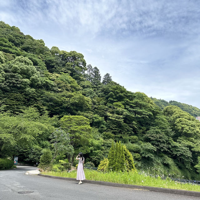 玫瑰花園超療癒！ 日本熱海人氣景點「ACAO FOREST