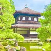 〜京都府〜世界遺産銀閣寺！実は日本文化発展のお寺