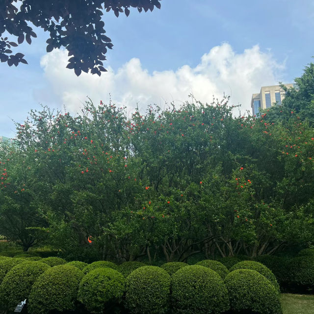 深圳中心公園：現代藝術、環保理念，多元化活動空間