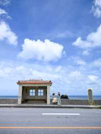  【沖縄 大宜味村】海の見えるバス停️🩵辺土名高校前バス停🌴絶景ポイント