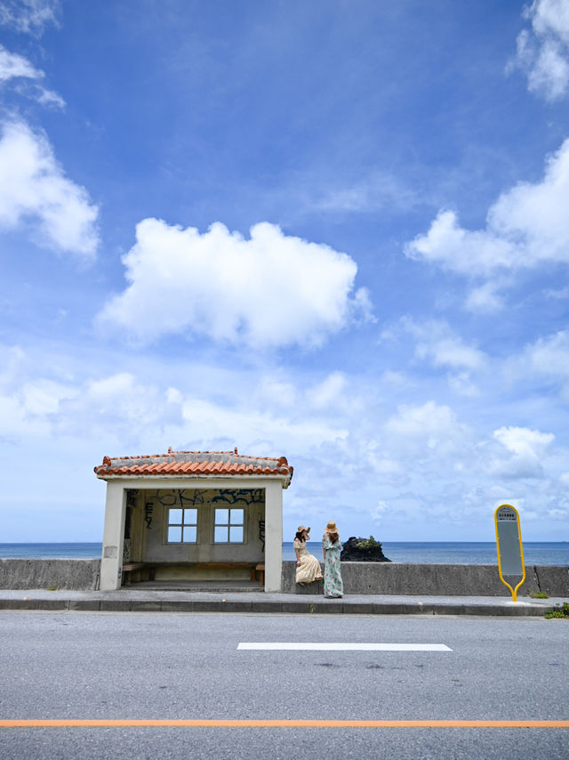  【沖縄 大宜味村】海の見えるバス停️🩵辺土名高校前バス停🌴絶景ポイント