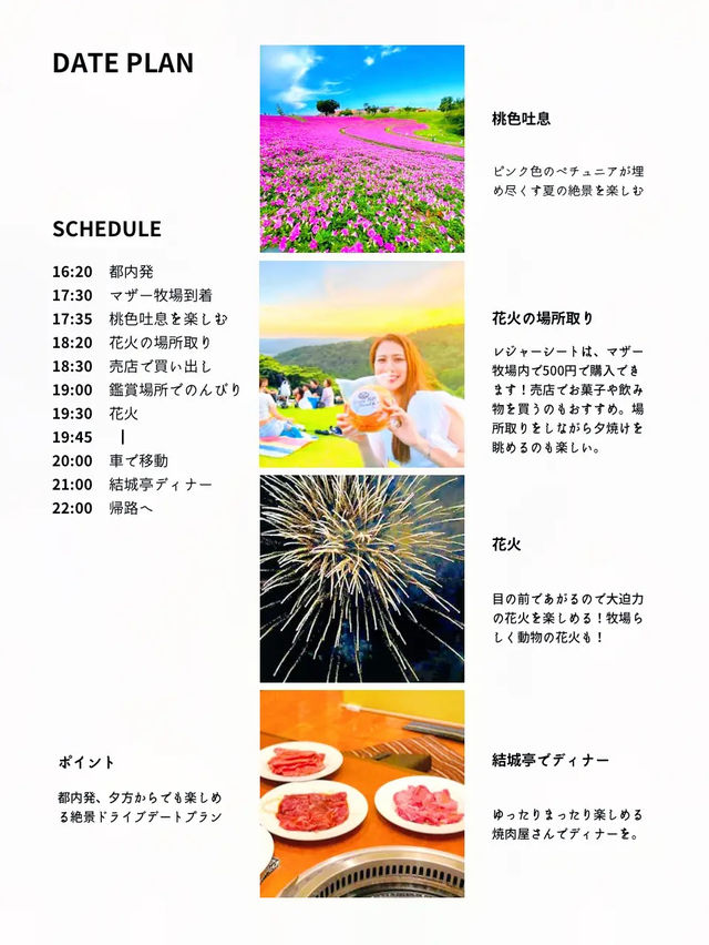 【保存版】都内発！夕方からでも楽しめる！絶景も花火も美食も満喫する旅プラン🚗