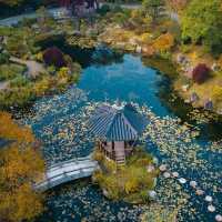 Uncover Seoul's Hidden Beauty 🇰🇷🌿