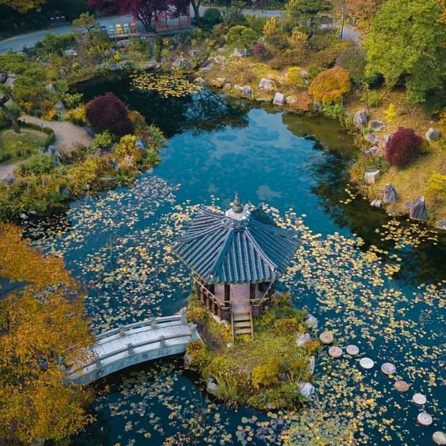 Uncover Seoul's Hidden Beauty 🇰🇷🌿