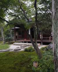 very beautiful and spacious Japanese garden