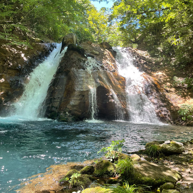 大分県由布市：男池湧水群