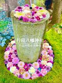 〜埼玉県〜絶対行って欲しい花手水の神社　金色の桃も！