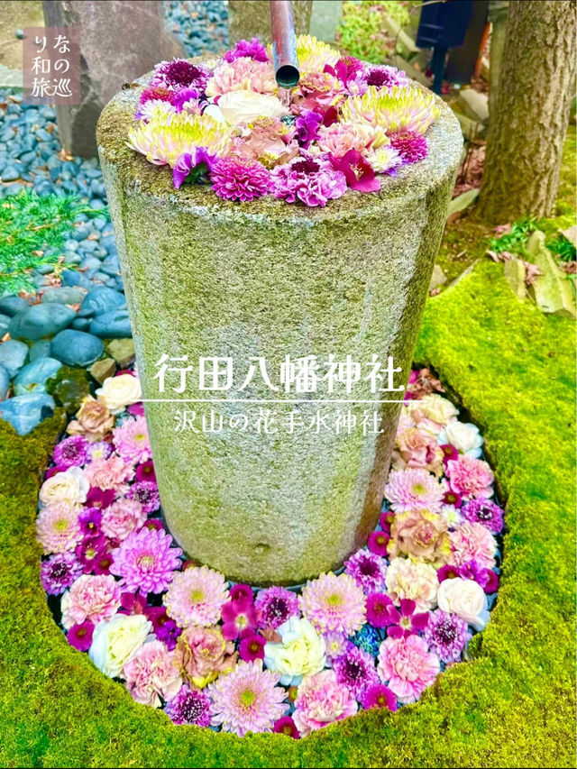 〜埼玉県〜絶対行って欲しい花手水の神社　金色の桃も！