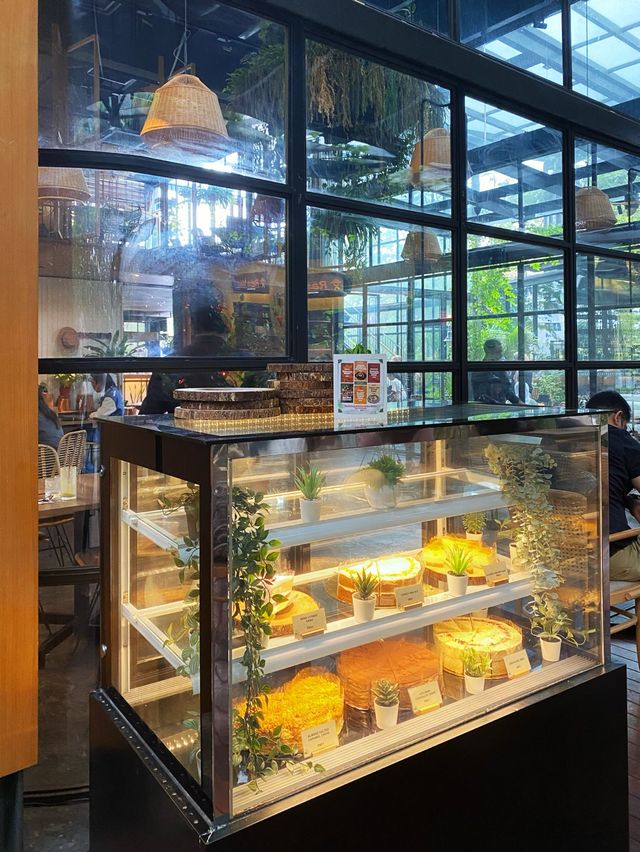 Oh Bangsar South KL had a farm 🌾👩🏻‍🌾👨🏻‍🌾