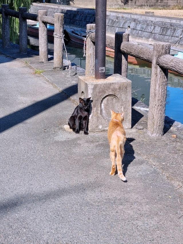 후쿠오카 근교 여행 필수코스! 야나가와 뱃놀이 선착장🛶