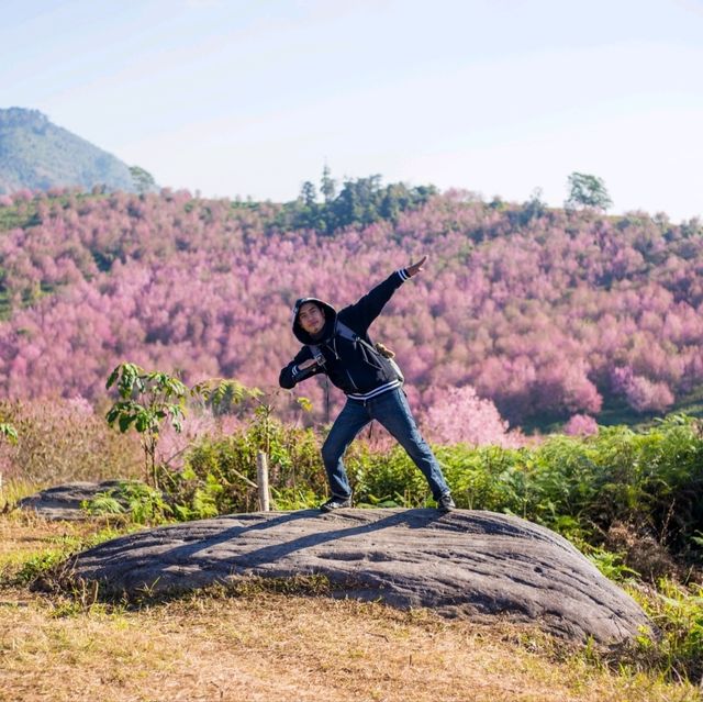 ทุ่งพญาเสือโคร่งภูลมโล