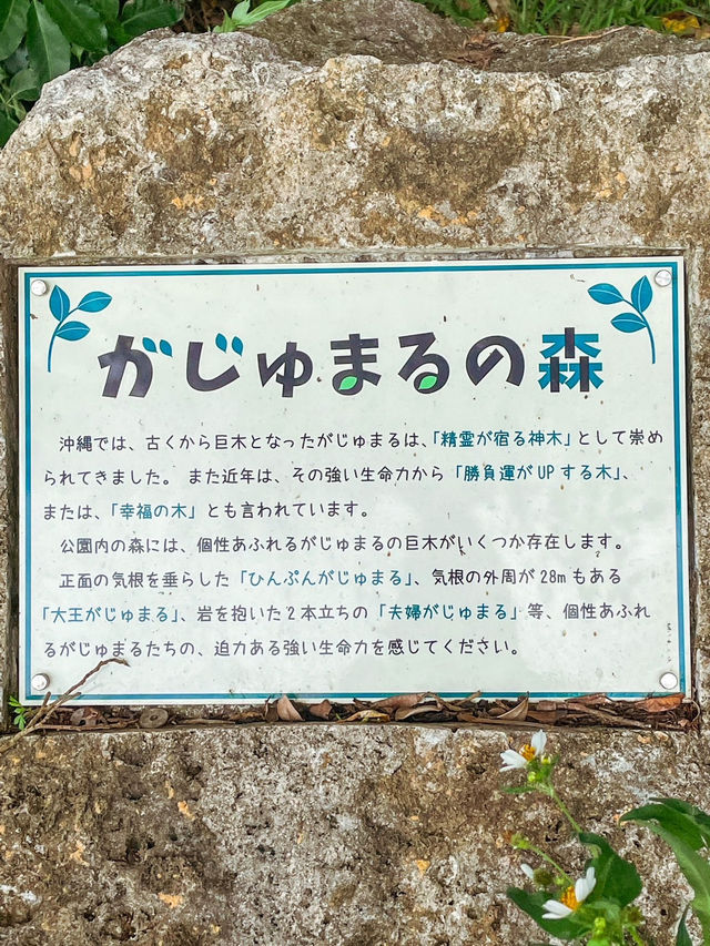 【沖縄】ピースマークのある公園で世界平和を