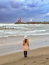 Charming beach at Jeju Island