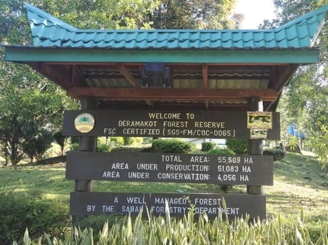 Deramakot Forest Reserve