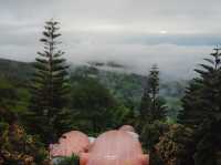 ออกไปกอดธรรมชาติที่ PhuSandao Resort