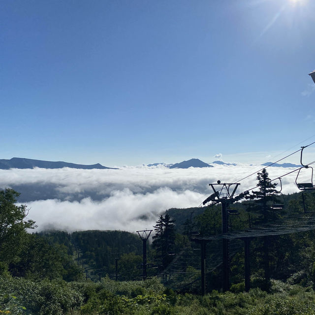 夏の雲海を見ました